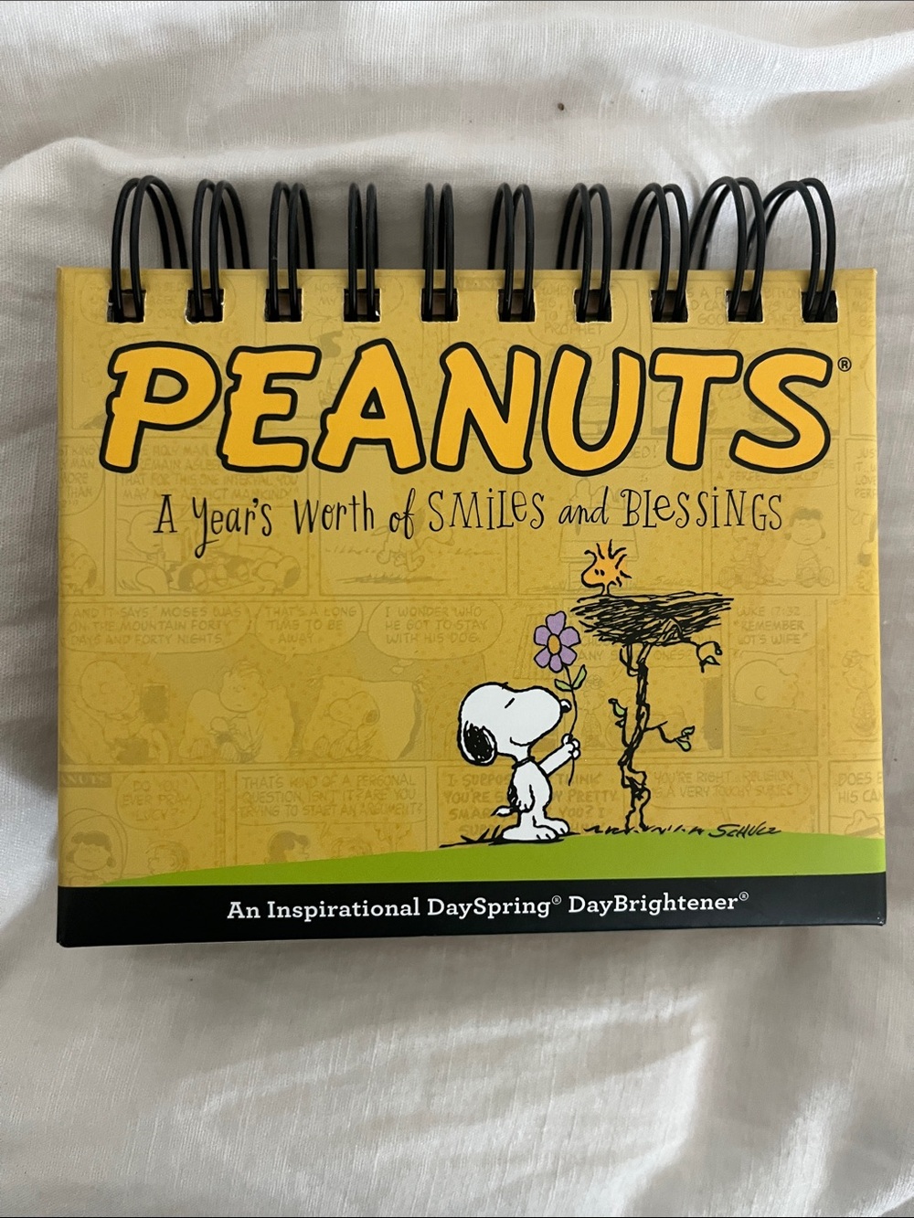 Peanuts A Years Worth Of Smiles And Blessings Calendar Perpetual Desk Calendar
